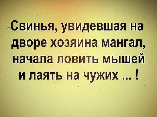 ЁСвинья увидевшая на дворе хозяина мангал _ начала ловить мышей и паять на чужих і