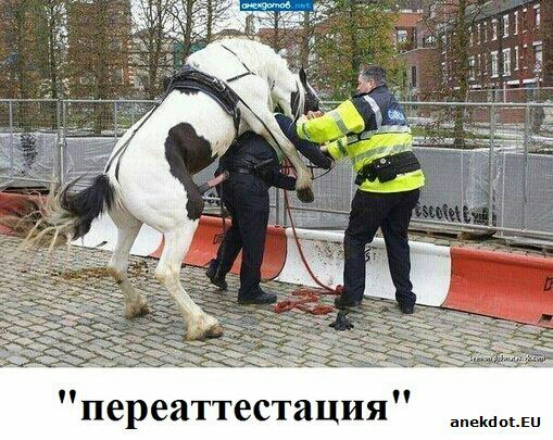 переаттестация оомески