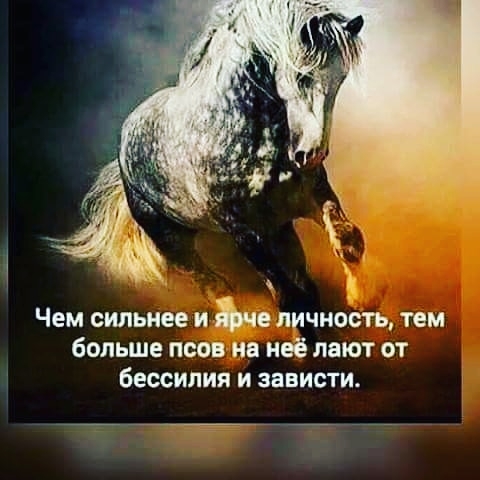 Чем сильнее и Ъче личность тем больше псов на неё лают от бессилия и зависти