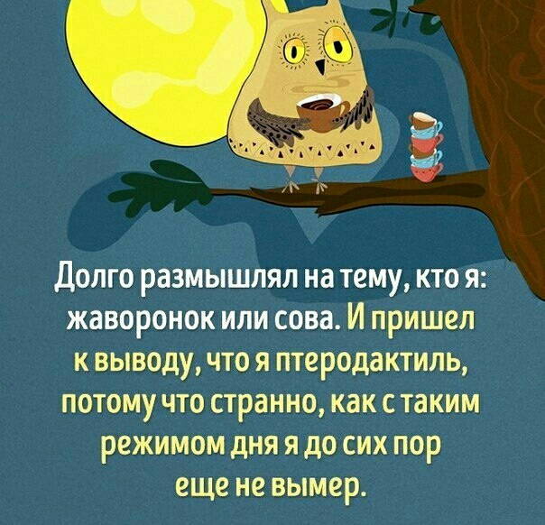 долго размышлті на пит кто я жаворонок или сова И приш винтаж терапию натянута иш т я до сих пор и