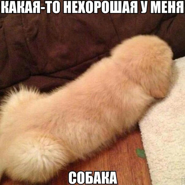 миди то ННЮРВШМ МЕНЯ