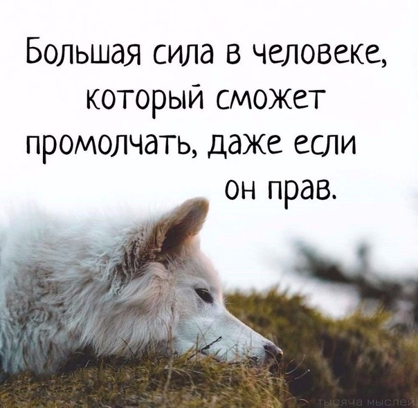 Большая сила в человеке который сможет промолчать даже если он прав