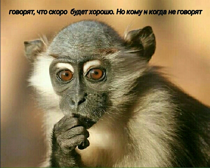 творят чюашро бшетхоршио Нокомуц