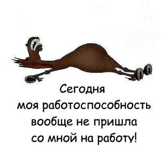 Сегодня моя работоспособность вообще не пришла со мной на работу