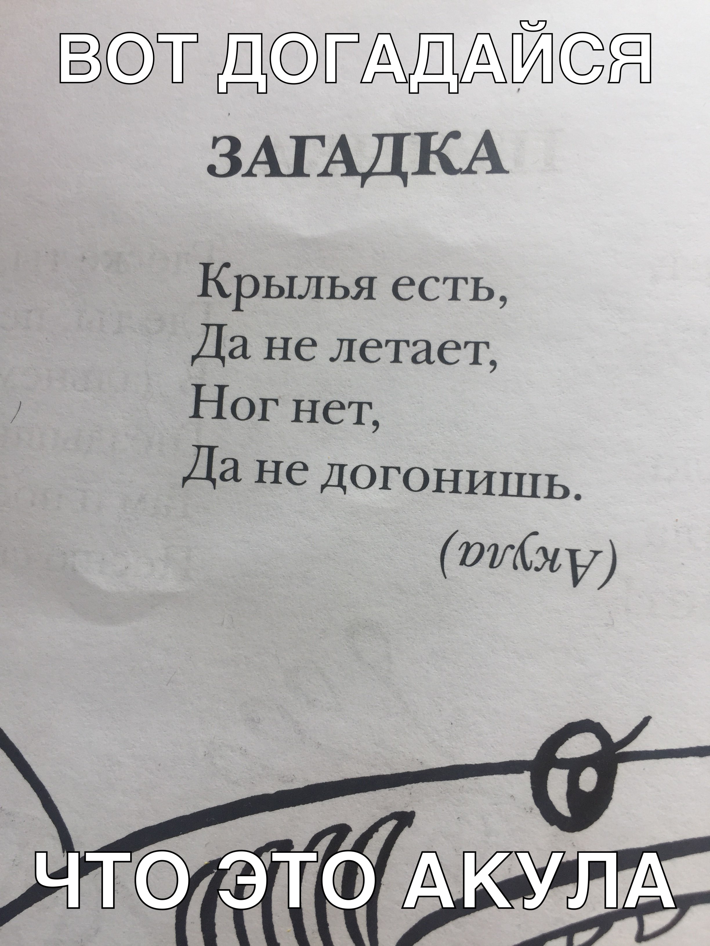 т Дг ЗАГАДКА Крылья есть Да не летает