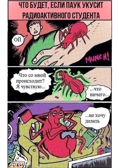 ЧТП БУДЕТ ЕСЛИ ПАУК УКУВИТ ТУЛЕНТА