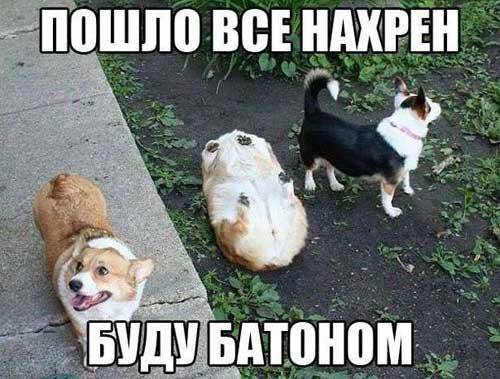 ПБШПП ВСЕ АШ іі _ _ а _ ты