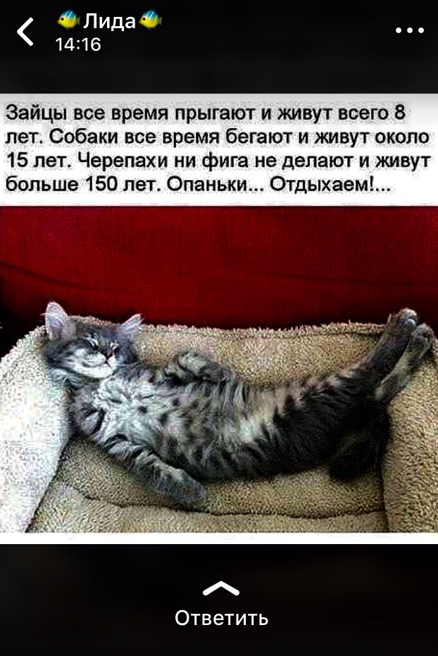Лида 1416 Зайцы все время прыгают и живут всего 8 лет Собаки все время бегают и живут около 15 лет Черепахи ни фига не делают и живут больше 150 лет Опаньки Отдыхаем Ответить