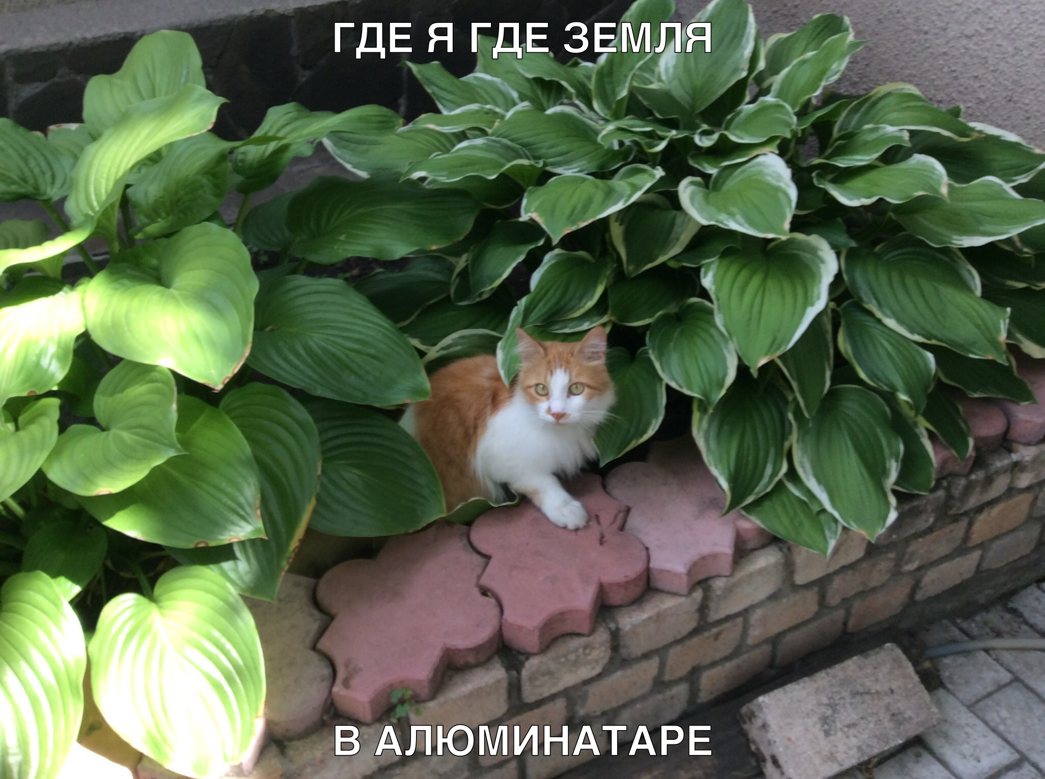 Е Р А Т А Н И М Ю П А В