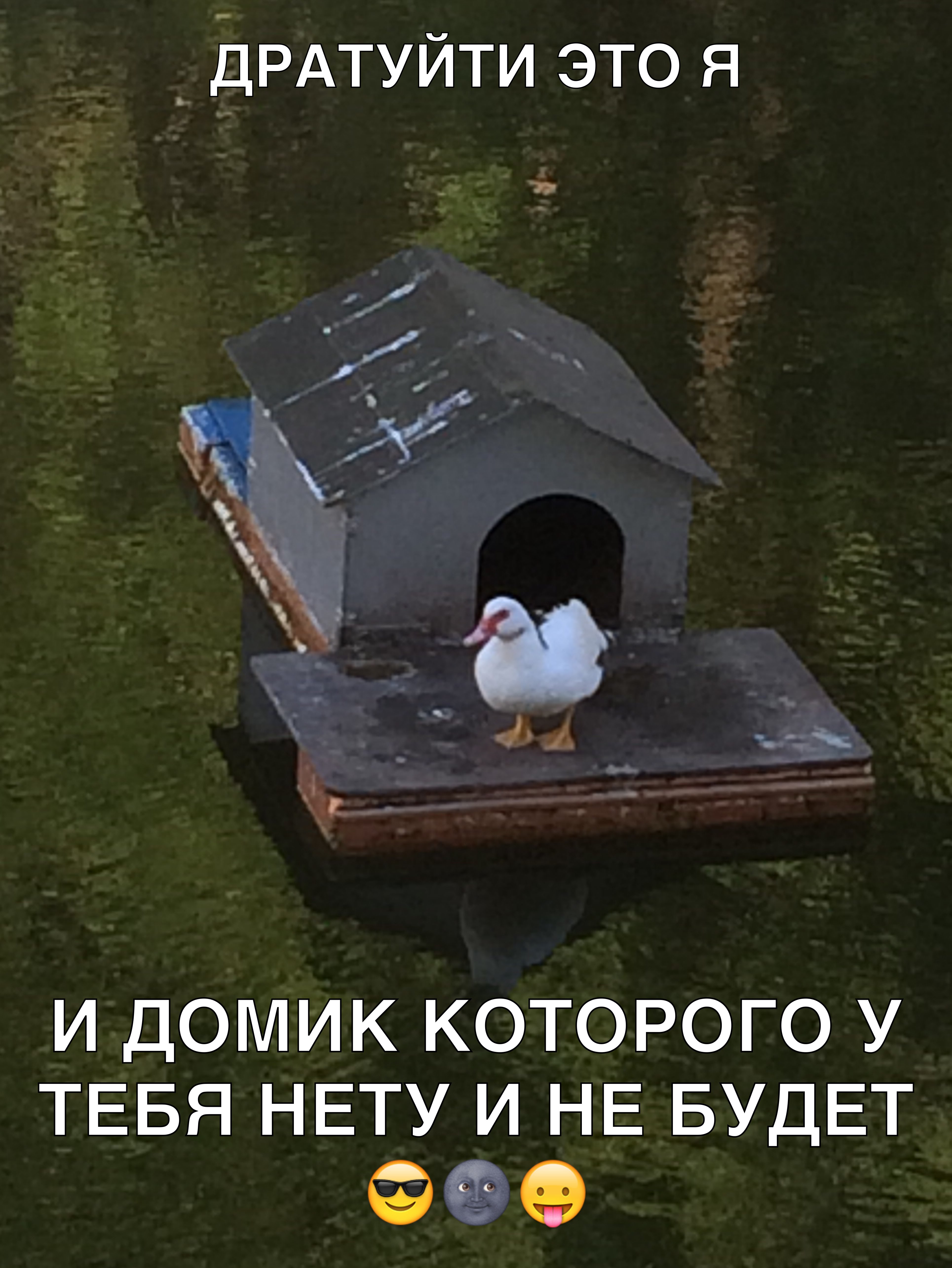 _ ДРАТУЙТИ это я И ДОМИК КОТОРОГО У ТЕБЯ НЕТУ И НЕ БУДЕТ е __ __