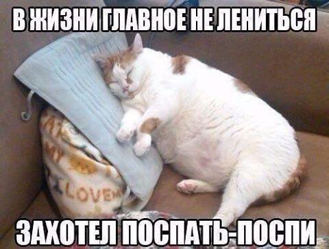 вжизнипппвібініпінитьег ЗПЮЁП ПВЁПШЫЩЁПЬ
