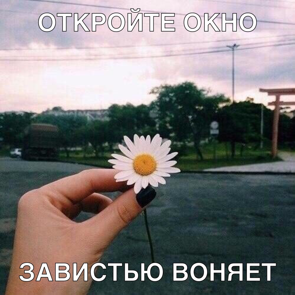 ТЙТЁ ЗАВИСТЬЮ ВОНЯЕТ