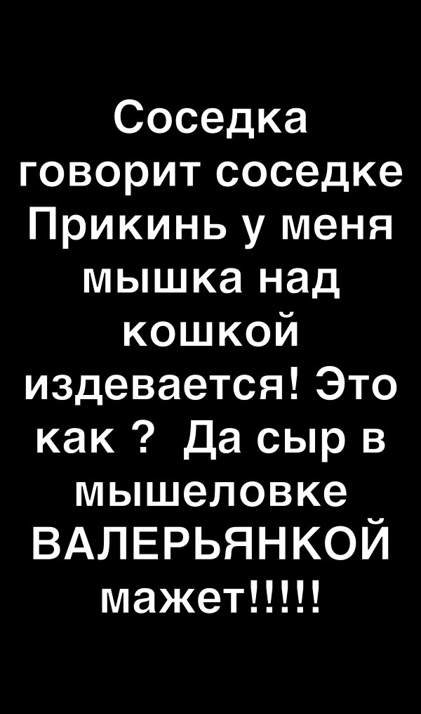 Соседка говорит соседке Прикинь у меня мышка над кошкой издевается Это как Да сыр в мышеловке ВАЛЕРЬЯНКОЙ мажет