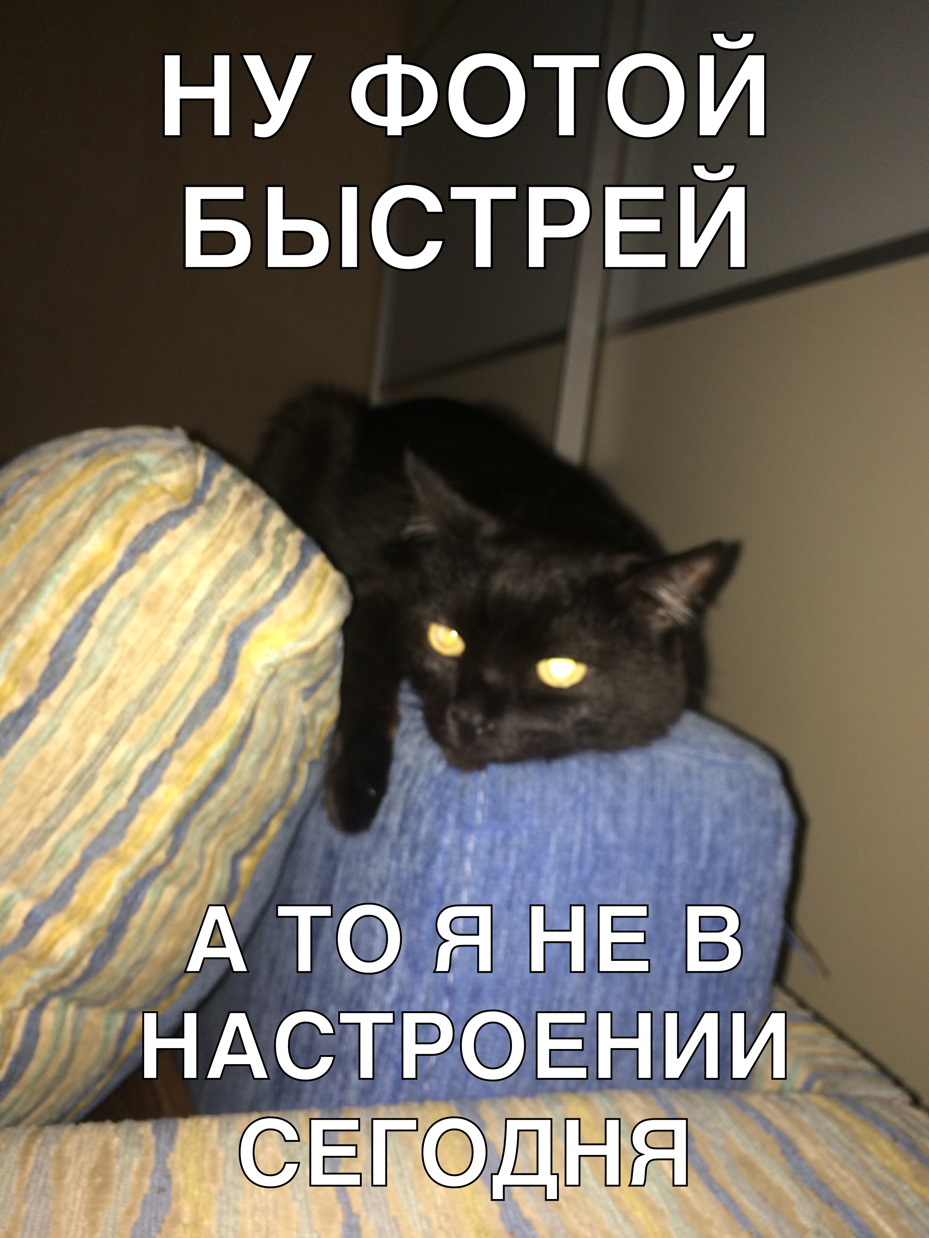 ну ФОТОЙ БЫСТРЕИ