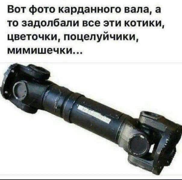 Вот фото карданного вала а то задолбали все эти котики цветочки поцелуйчики мимишечки