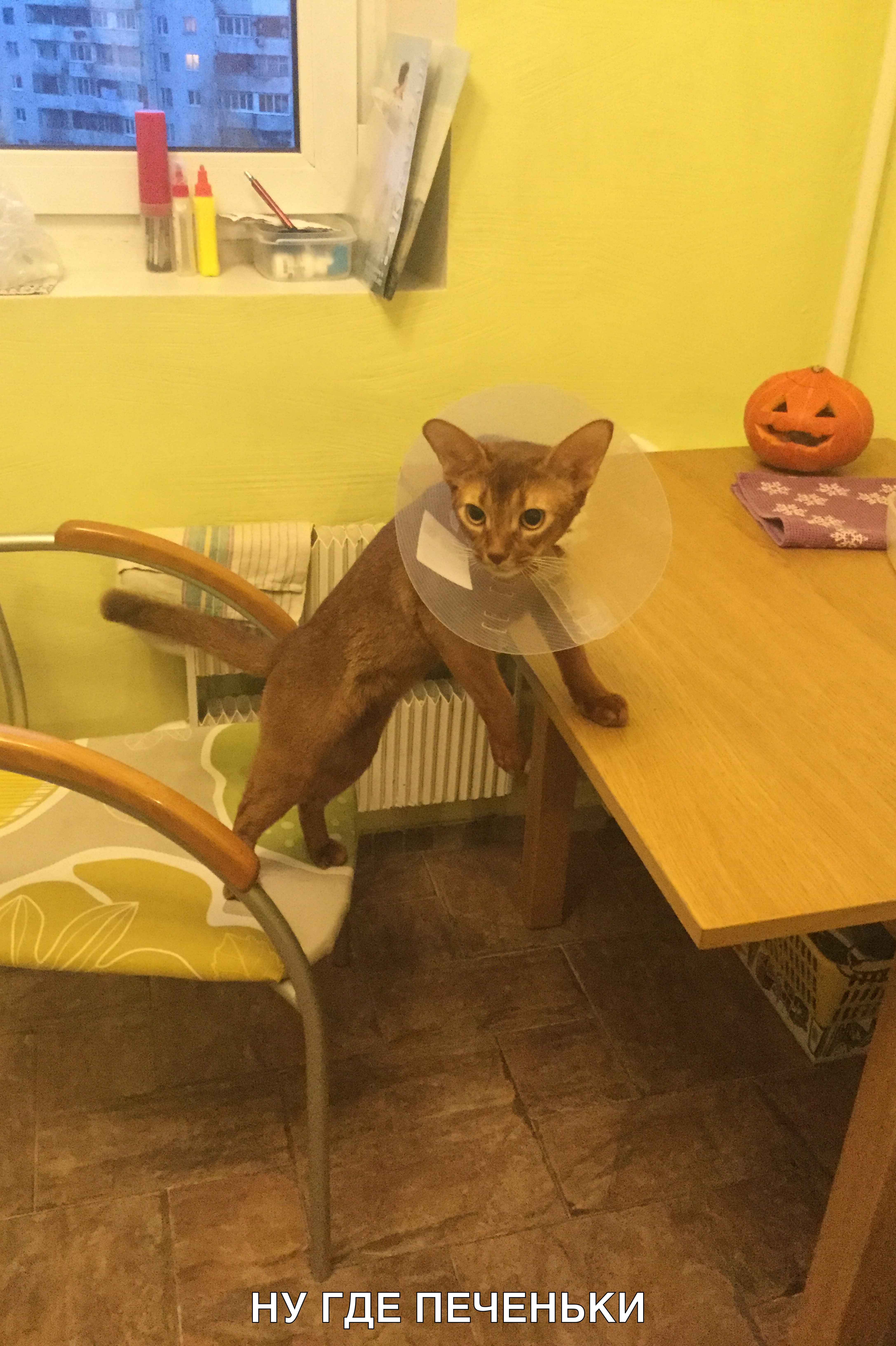 НУ ГДЕ ПЕЧЕНЬКИ