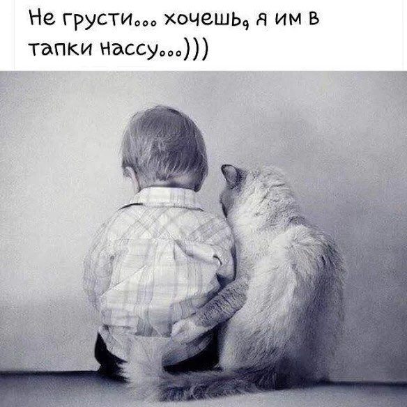 Не грусти хочешь я им в тапки насау