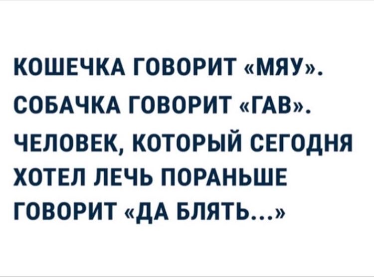 КОШЕЧКА ГОВОРИТ МЯУ СОБАЧКА ГОВОРИТ ГАВ ЧЕЛОВЕК КОТОРЫЙ СЕГОДНЯ ХОТЕЛ ЛЕЧЬ ПОРАНЬШЕ ГОВОРИТ ДА БЛЯТЬ