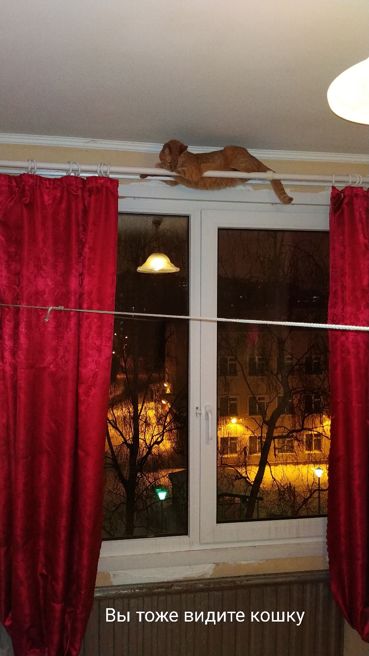 ВЫ Тоже видите КОШКУ