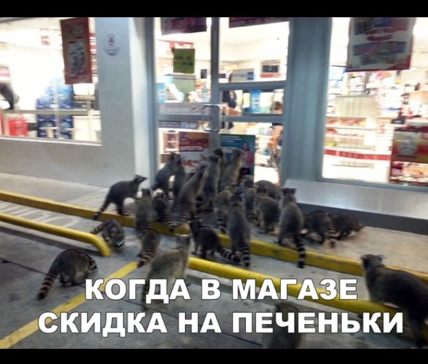 гдАЁм Жид НА ПЕЧЕньки