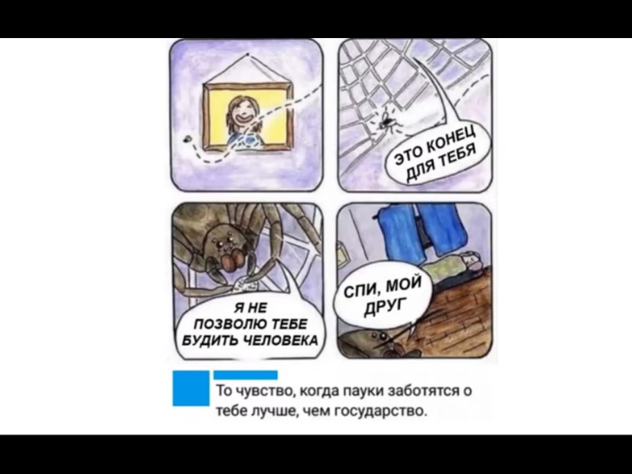 ПОЗВОЛЮ ТЕБЕ БУДИТЬ ЧЕЛОВЕКА То чувство когда пауки заботятся о тебе лучше чем государство