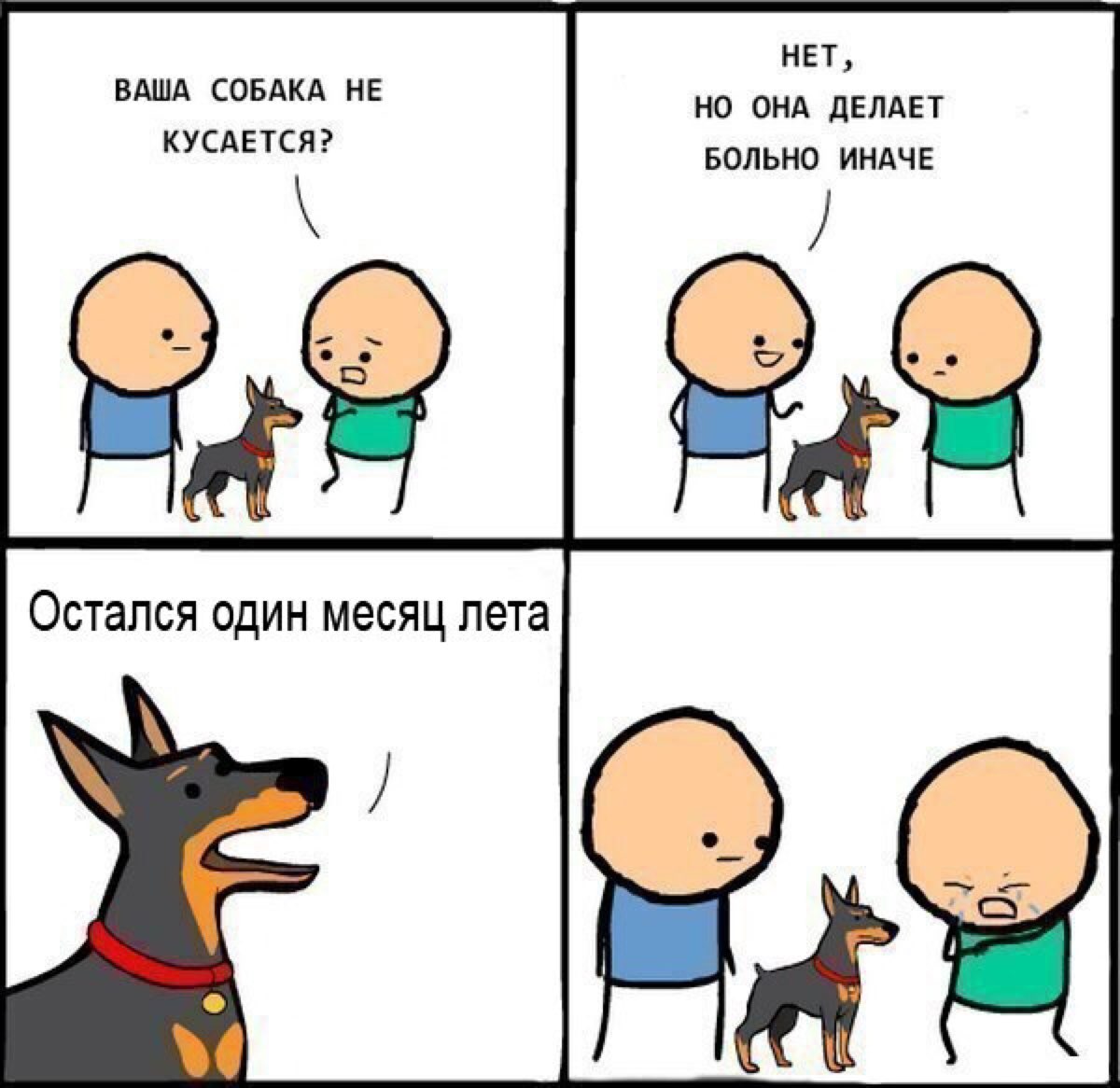 нвт но ОНА дЕЛАЕТ вольно индчв ВАША СОБАКА НЕ КУСАЕТСЯ
