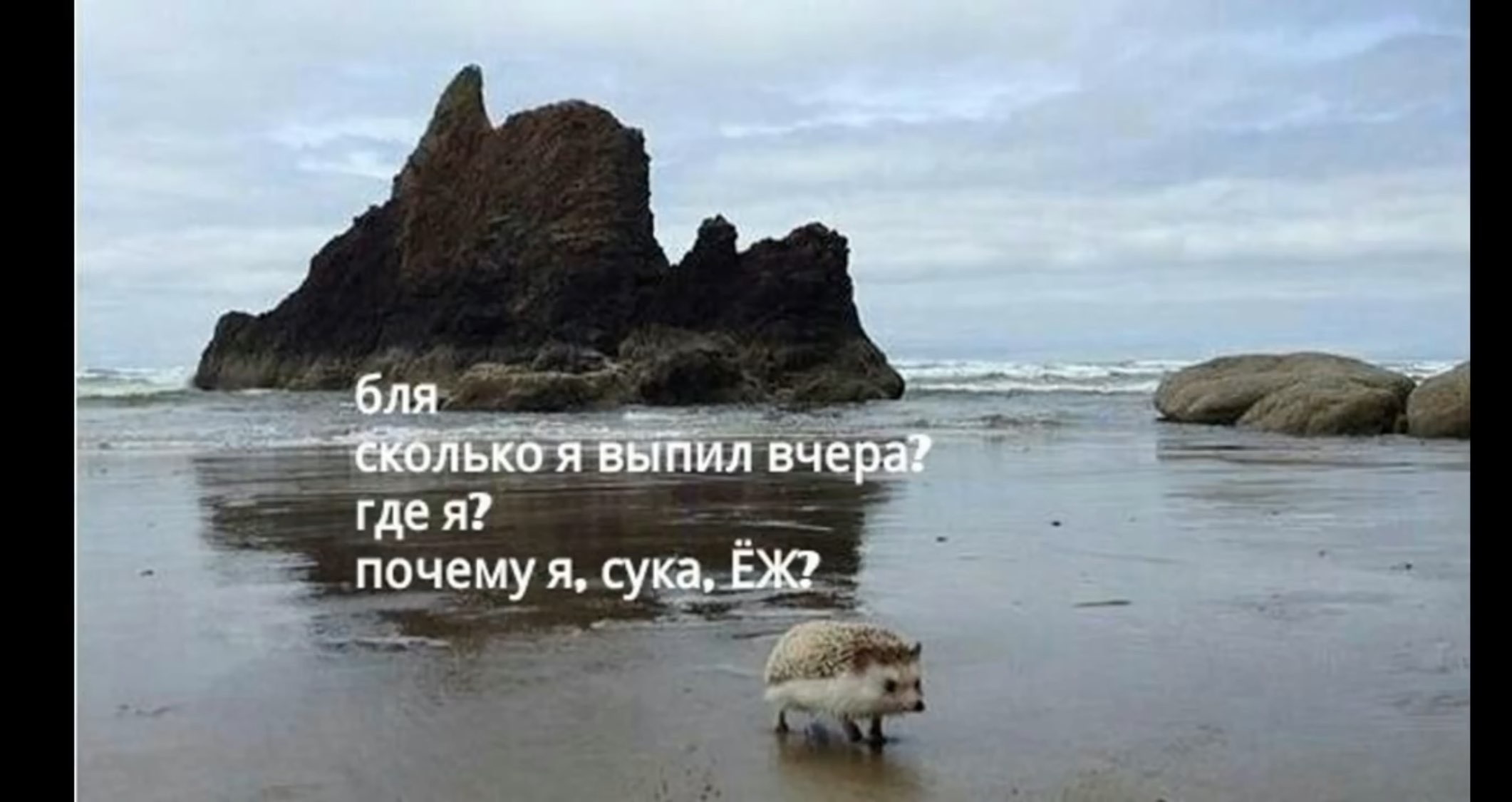 гд Я ПОЧЁМХЖ су