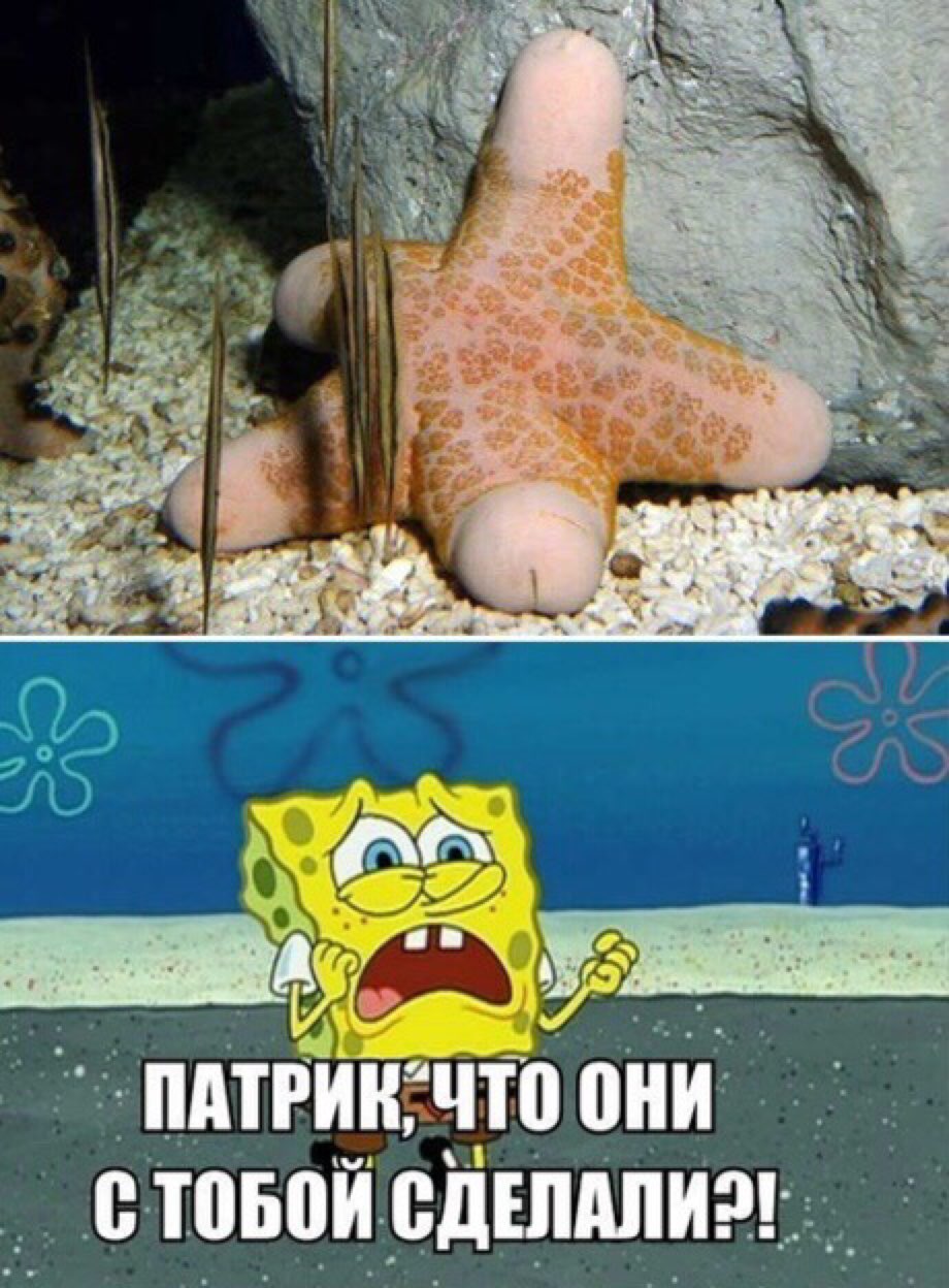 пдтгин что оіііі торой вдтітдпи __ _ __