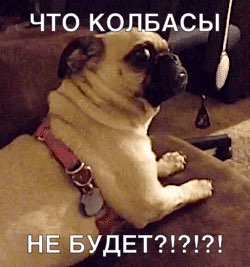 что кдщёдсы ал я НЕ БУДЕТ