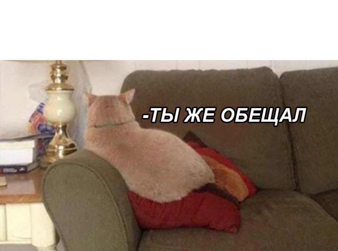 ТЫ ЖЕ ОБЕЩАЛ