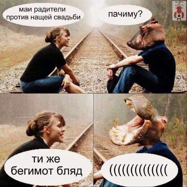 маи радитепи г против нащей свадьби пачиму бегимот бляд