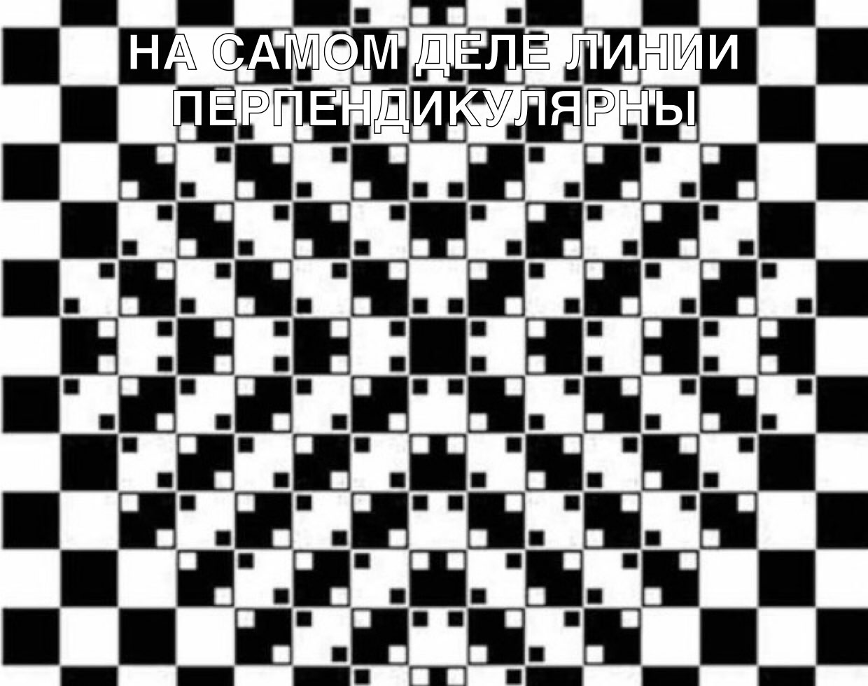 ш и в ш и в п и щит и и и т щшщш ж и и ш и ШЦШШ и ЁЁ Ё Ё Ё ЁНЁ Ё