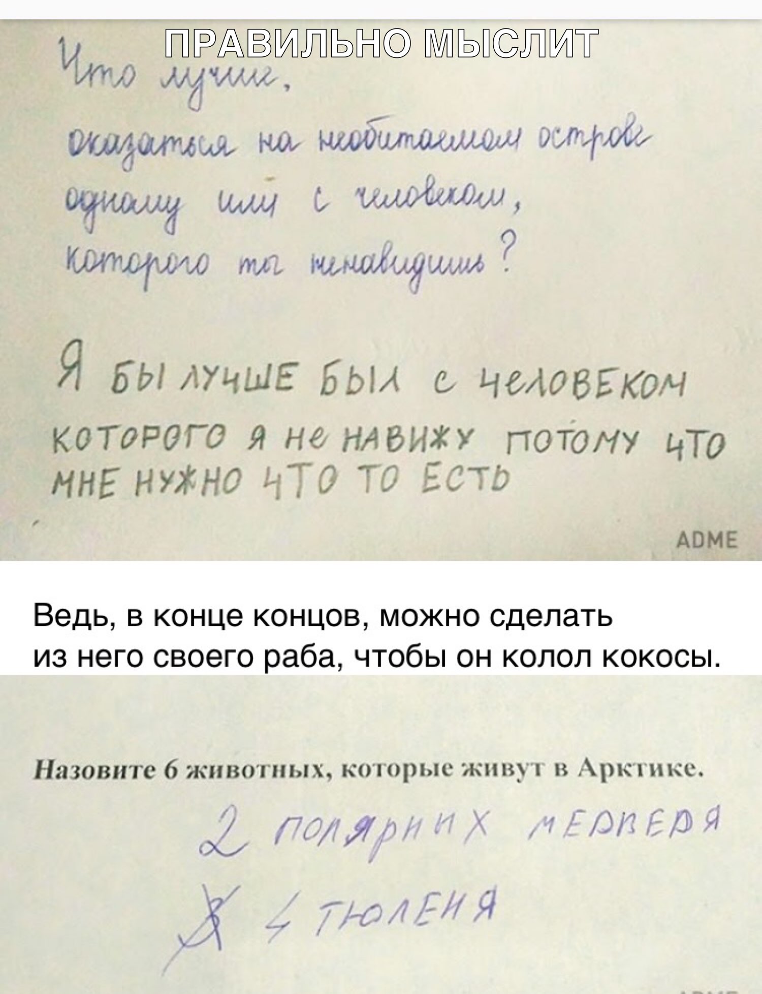 что ЙРАЗМЦЙЫ Ё ЫТ маши Майами шуйчтим эщщ и 0 61 жмаіщ шим Я БымчшЕ БЬЫ чмовьком которого я не НАВИЖУ потом что ННЕ нужно нТО ТО ЕСТЬ АПМЕ Ведь в конце концов можно сделать из него своего раба чтобы он колол кокосы Назовите 6 животных котор яс живут в Арктике 2 тдпЯН Х _ ЕД И 34 ЛПЯ