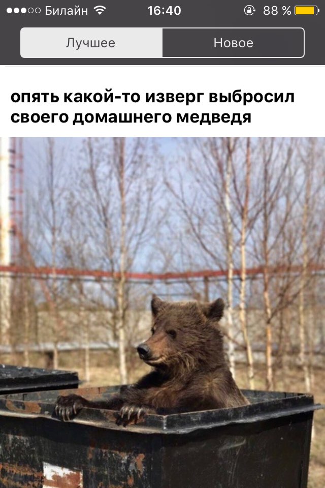 п оо Билайн 1640 88 Ш опять какой то изверг выбросил своего домашнего медведя