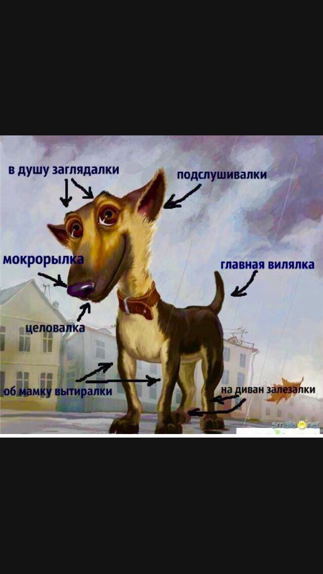 В душу ЗЗГПЯДЭПКИ ПОДШУШИВЗПКИ главная ВИЛЯПКЭ 1ЦШШВВПКЭ д