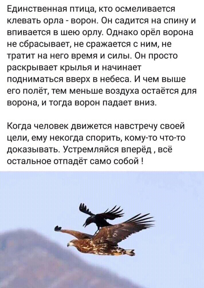 Единственная птица кто осмеливается клевать орла ворон Он садится на спину и впивается в шею орпу Однако орёл ворона не сбрасывает не сражается с ним не тратит на него время и силы Он просто раскрывает крылья и начинает подниматься вверх в небеса И чем выше его полёт тем меньше воздуха остаётся для ворона и тогда ворон падает вниз Когда человек движется навстречу своей цели ему некогда спорить ком