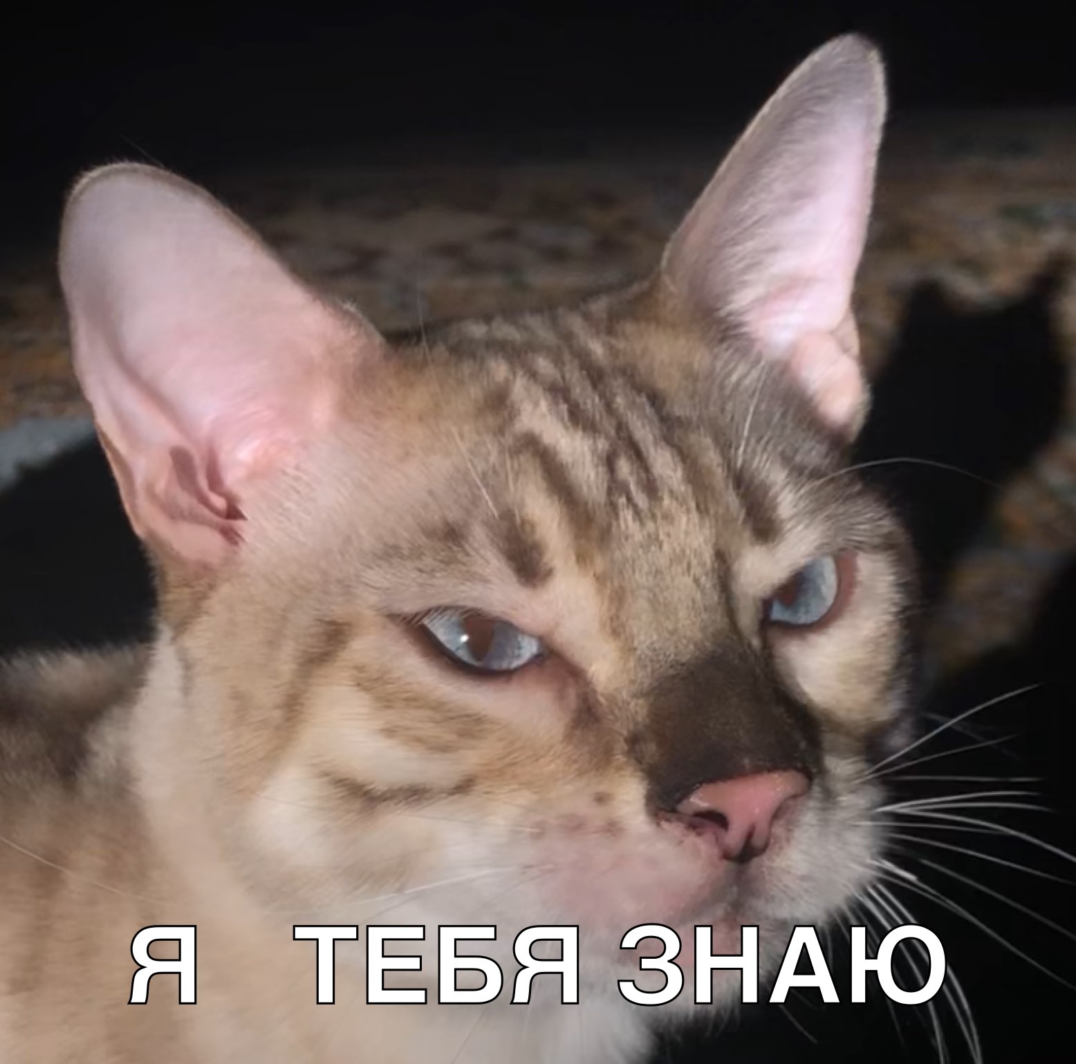 ЗНАЮ