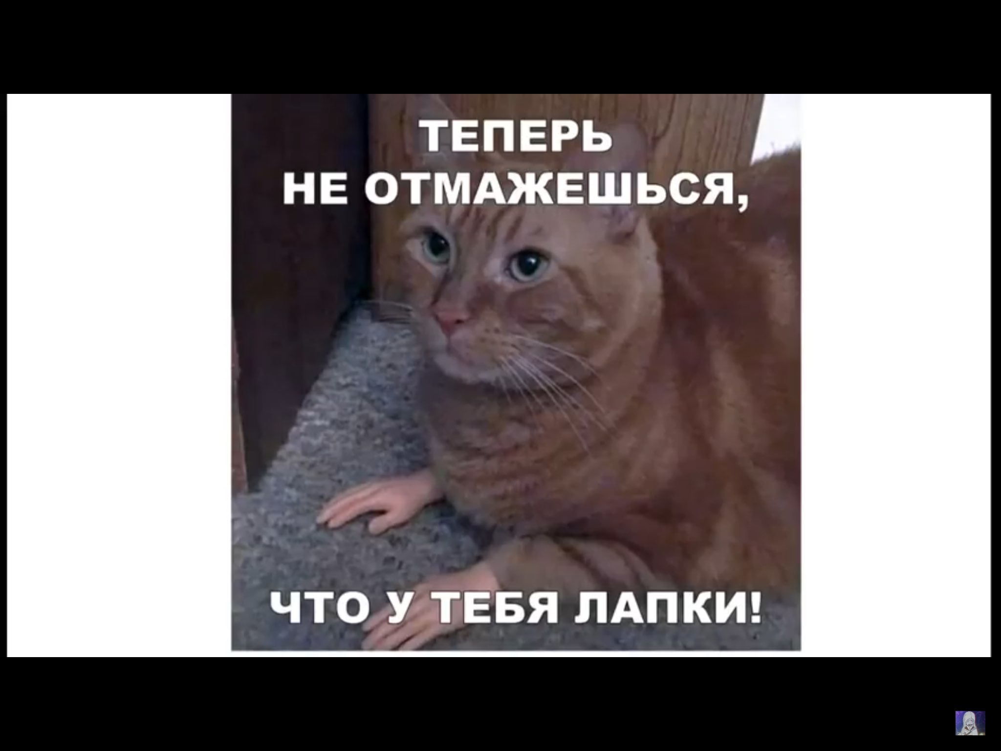 ТЕПЕРЬ НЕ ОТМАЖЕШЬСЯ ЧТО У ТЕБЯ ЛАПКИ