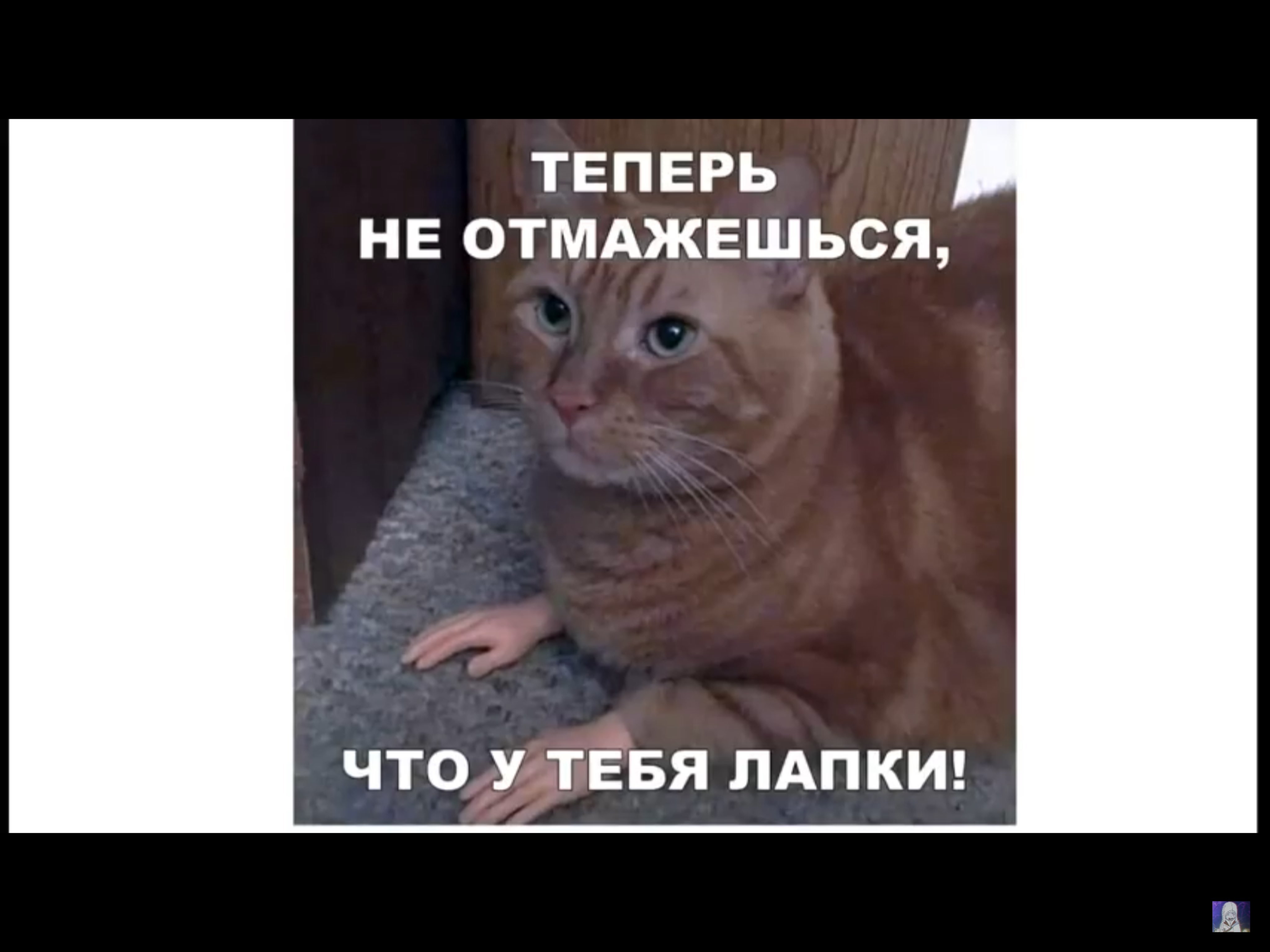 ТЕПЕРЬ НЕ ОТМАЖЕШЬСЯ ЧТО У ТЕБЯ ЛАПКИ