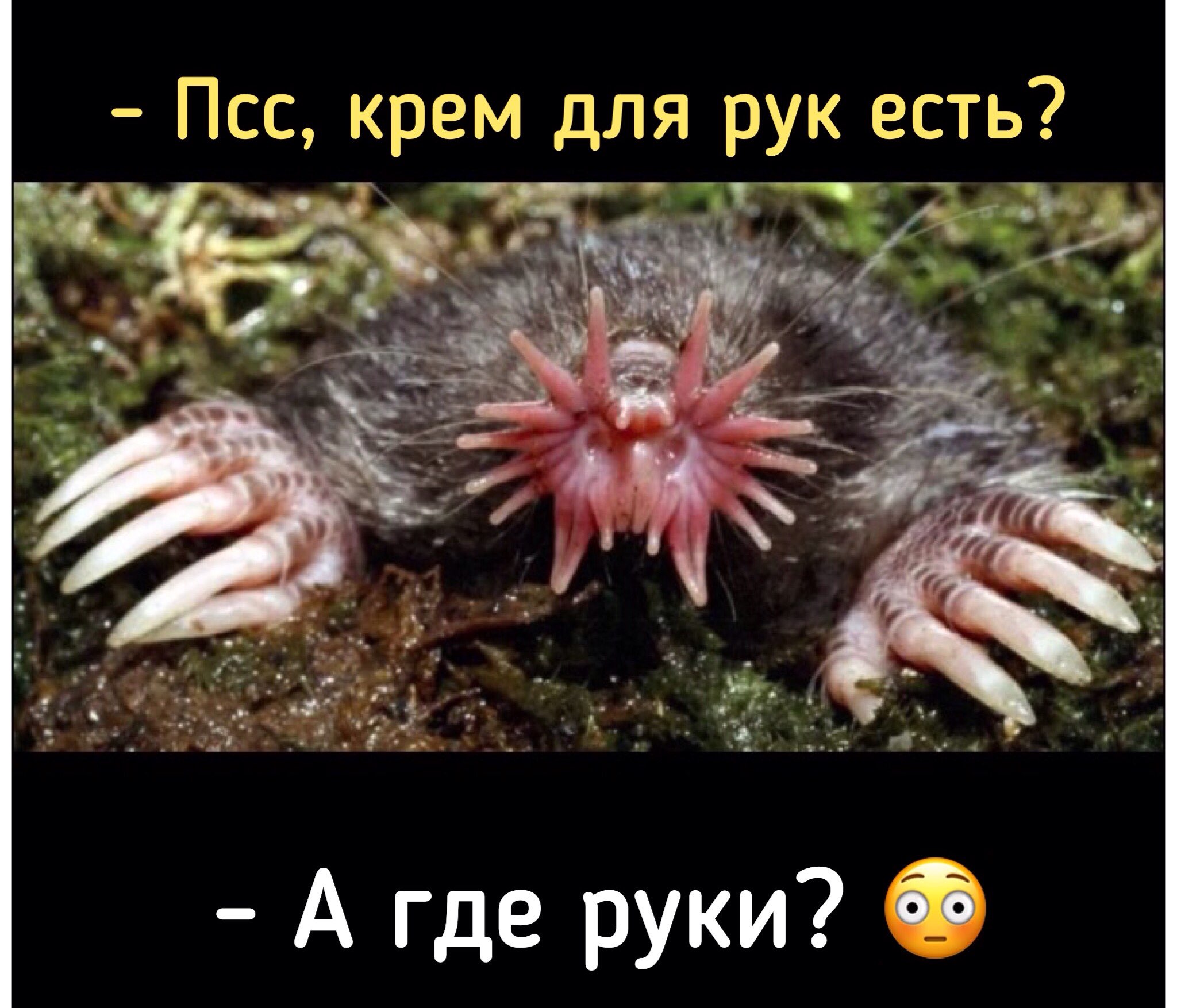 Псс крем для рук есть А где руки 53