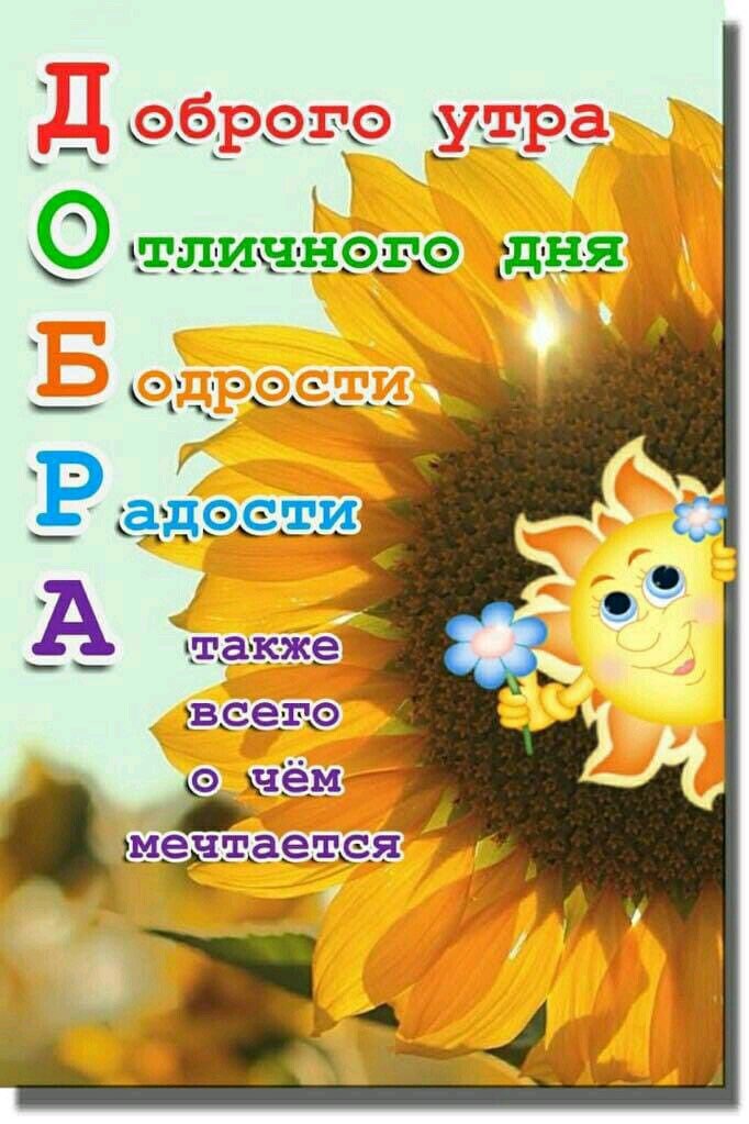 е_твя _ д н ш кц о _ __ _ л а т в 5 с с М