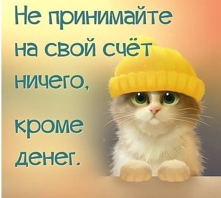 Не принимайте на свой счёт ничего кроме денег
