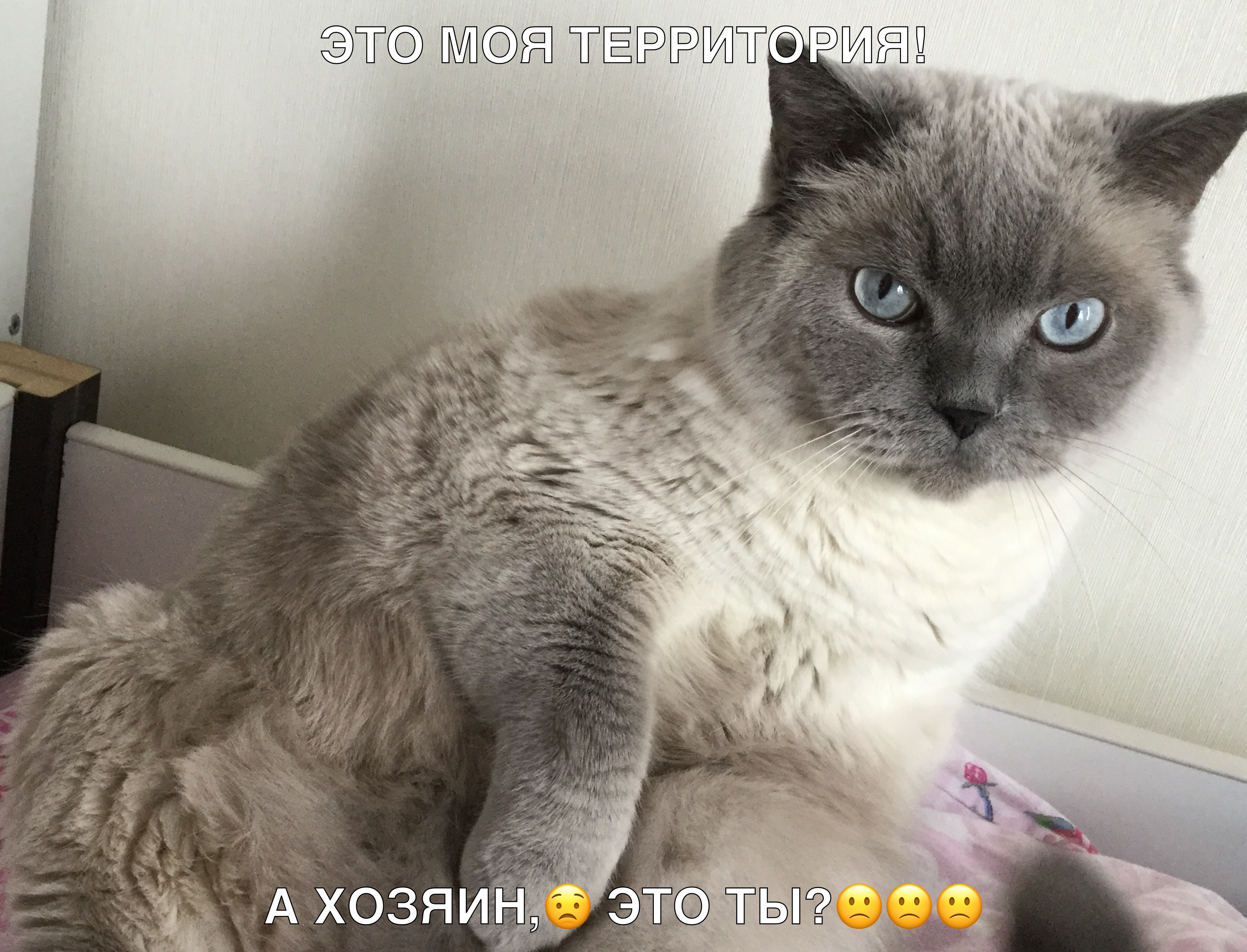 ТЁРЦ