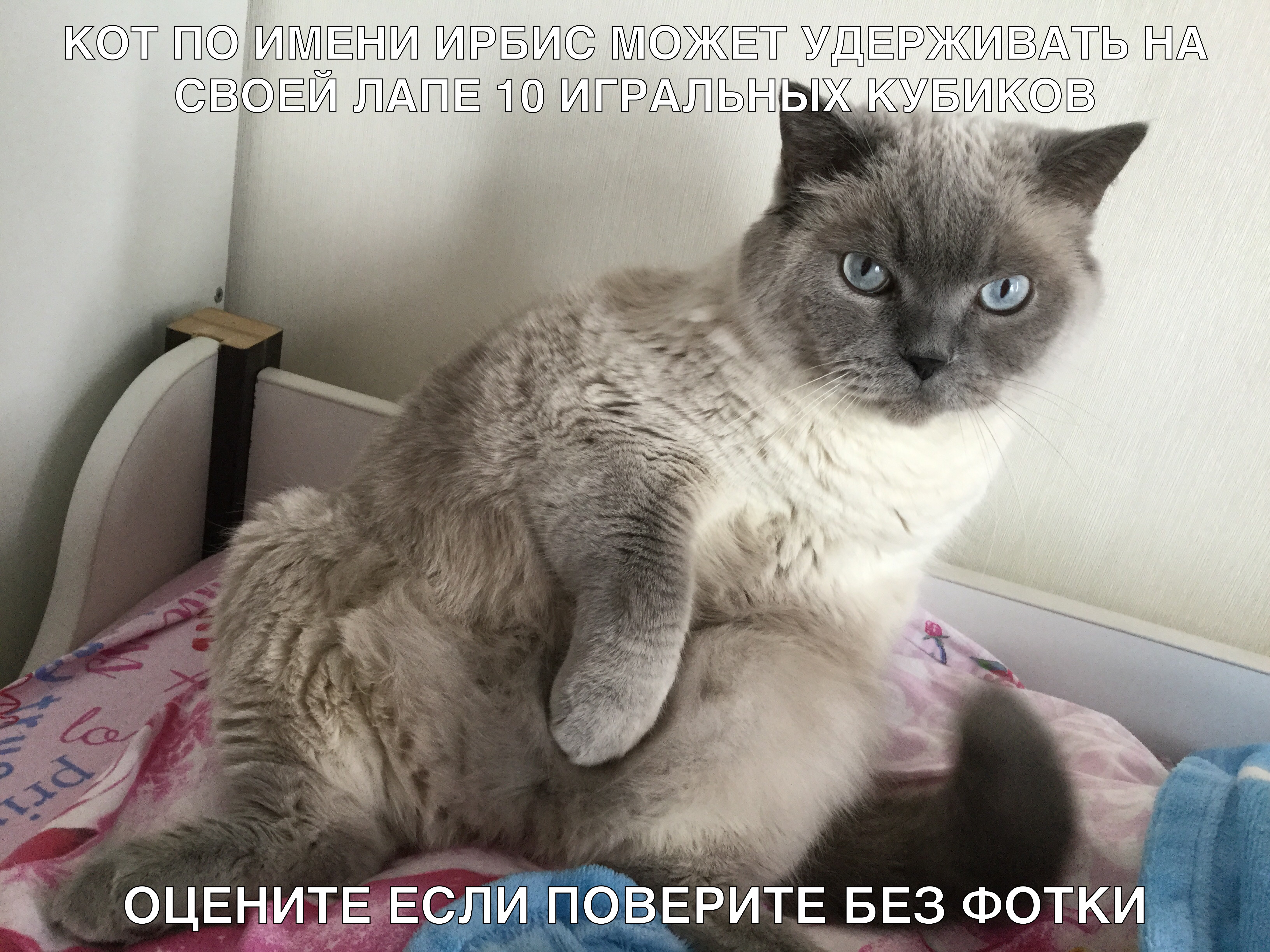 КСОЭТ ННМЁНН НРБНССЁ ЖЁТ УДЁРЖНАТЬ НА ГЁН НАНЁ П НГРАНЬНЬЖКУБНКССЭВ