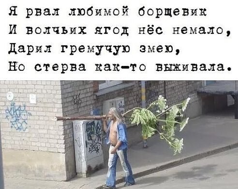 я рвал любимой борщевик И волчьих ягод нёс немало дарил гремучую змею НО стерва как то выживала