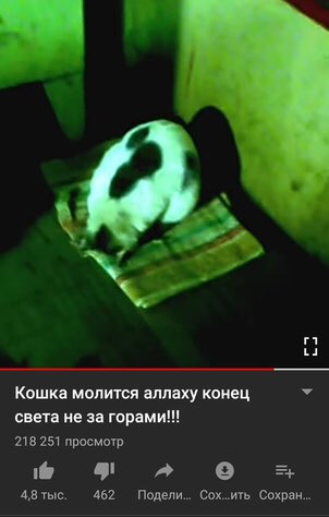 Кошкв моли иж мину конец сует не горами 151 примат д 9 мтс 452 Пвдели шиь башни