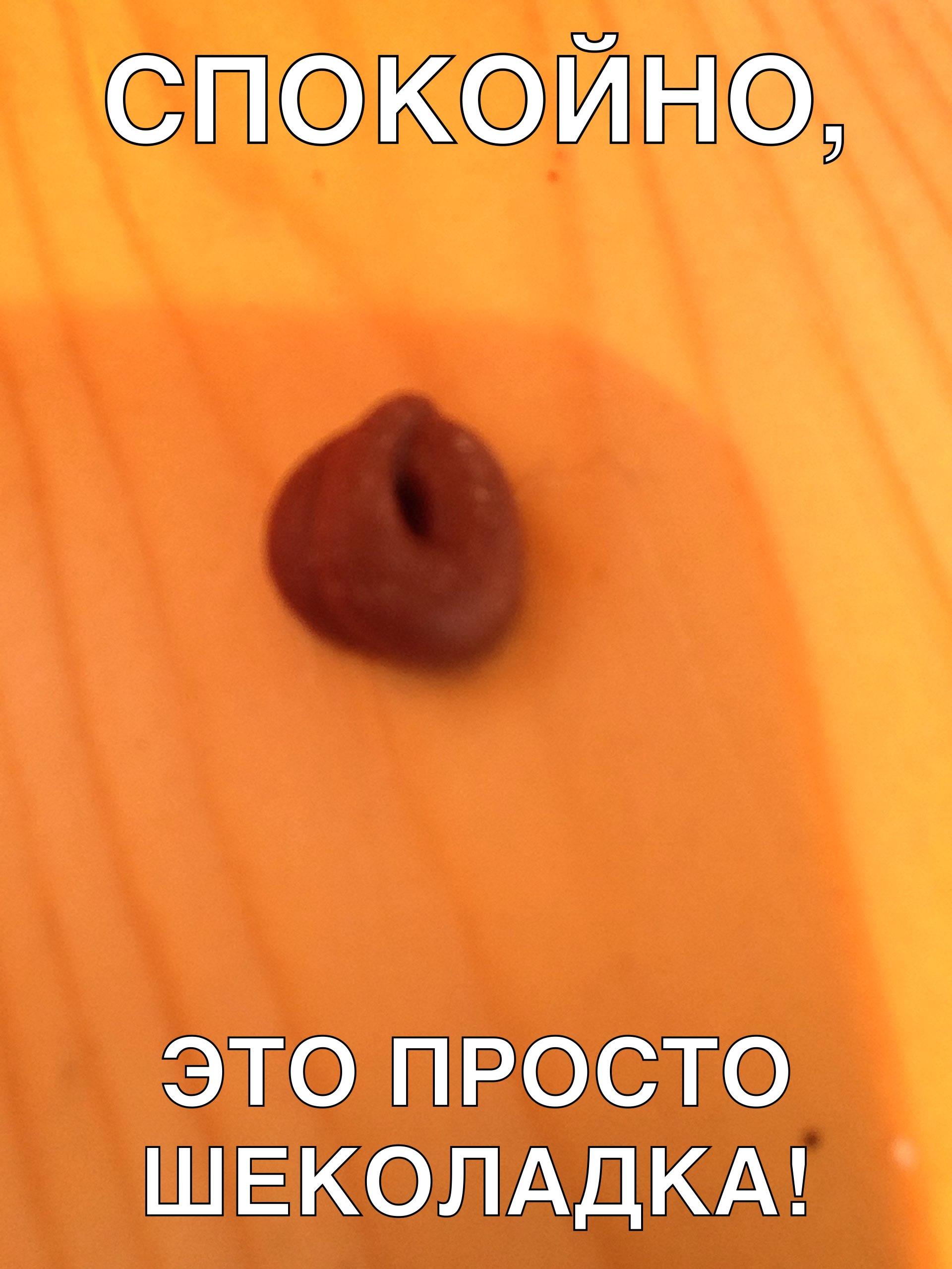 спокойно ЭТО ПРОСТО ШЕКОЛАДКА