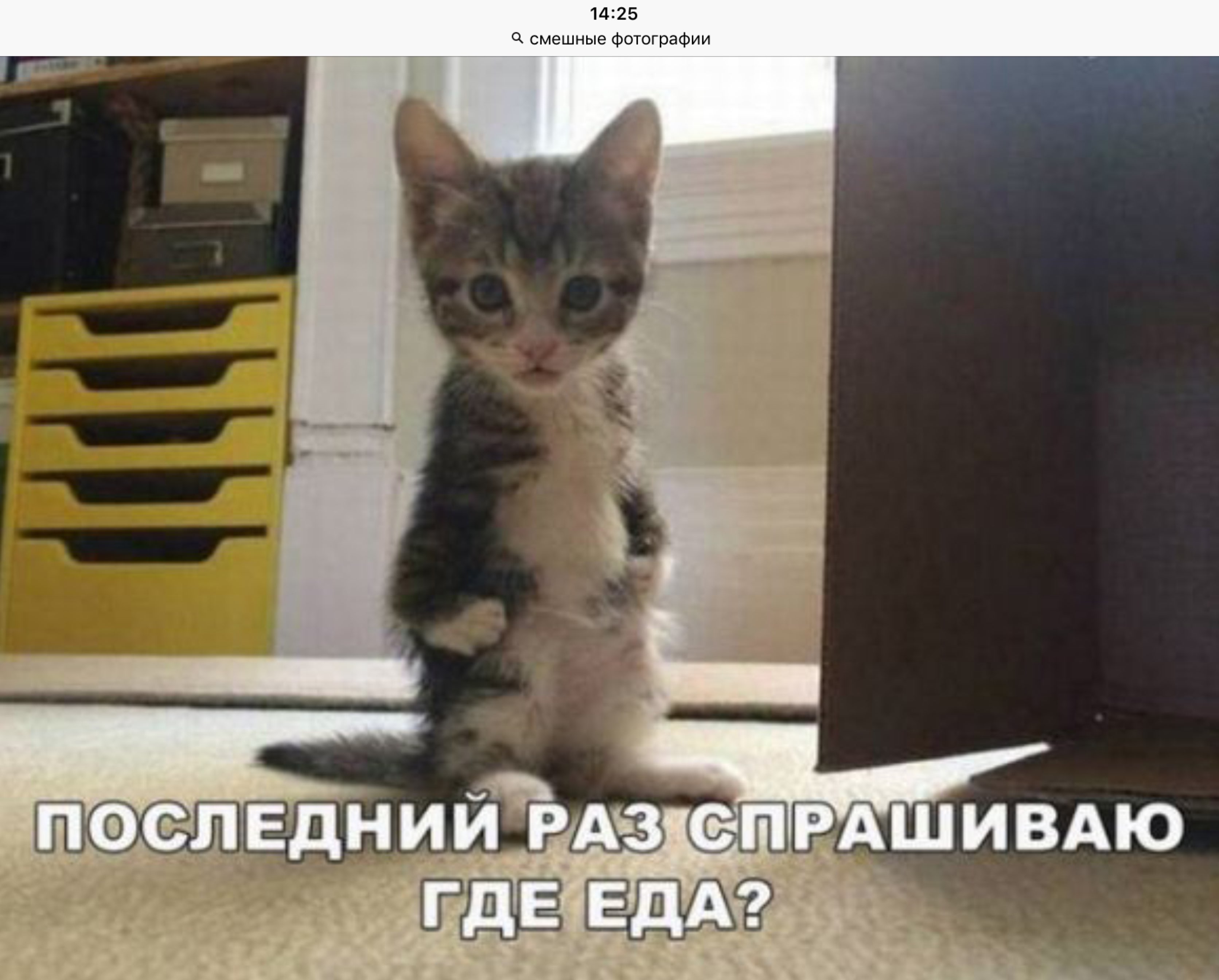 1425 0 смешные фотографии