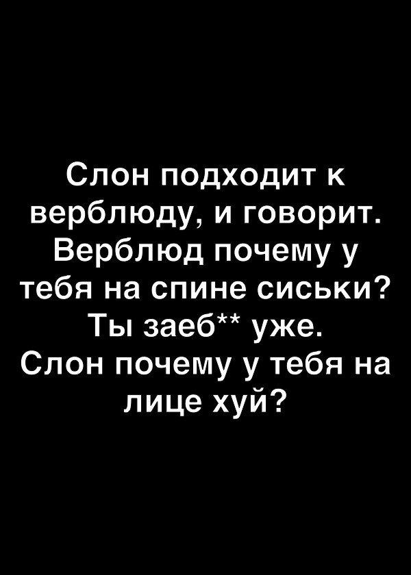 Слон подходит к верблюду и говорит Верблюд почему у тебя на спине сиськи Ты заеб уже Слон почему у тебя на лице хуй