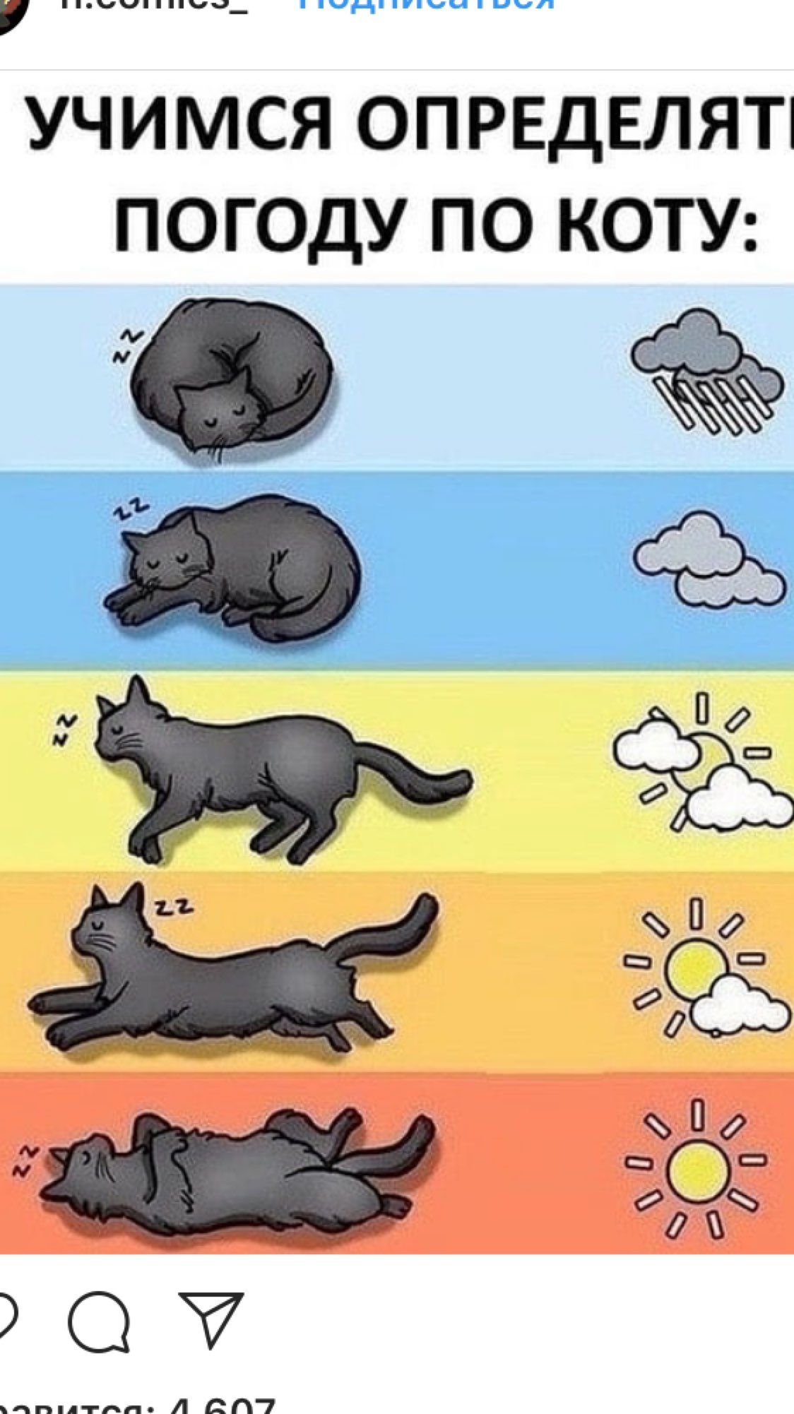УЧИМСЯ ОПРЕДЕЛЯТ ПОГОДУ ПО КОТУ